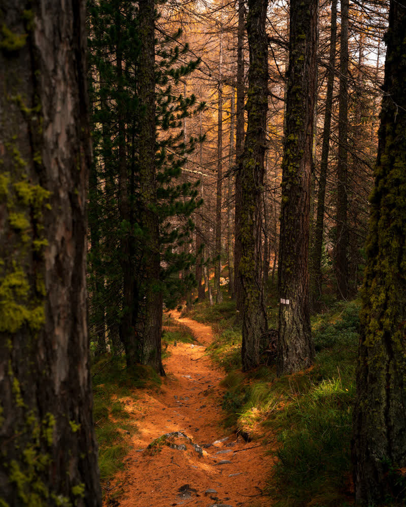 JMV - Paysage Bourdeau